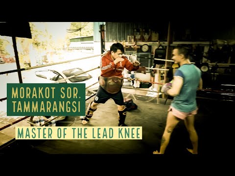 Morakot Sor. Tammarangsi Master of the Lead Knee Attack (trailer) | Muay Thai Library