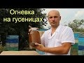 Восковая моль или огневка пчелиная. 