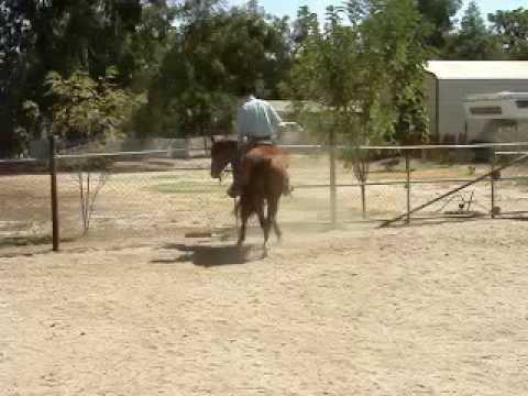 Riding with Confidence Series I, Part Two