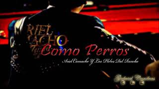 Ariel Camacho - Como perros (en vivo)