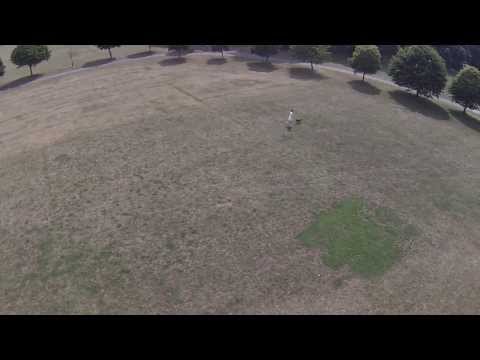 Dji F550 FPV Kings park Bournemouth