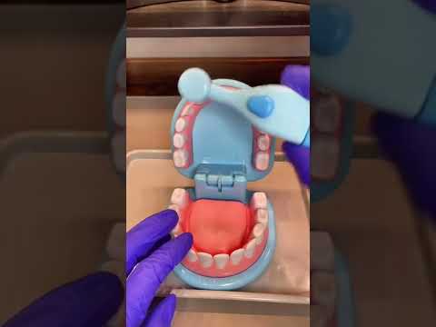 Dental ASMR Teeth Cleaning No Talking | Melissa & Doug Dentist Kit Play Set #Shorts