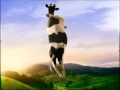 Animal Logic 90s Showreel