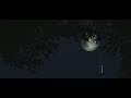 Kaanaponnum Minnum Ketti Song Whatsapp Status MALAYALAM A A STATUS