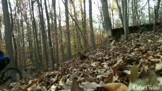 1st drop on the black loop.