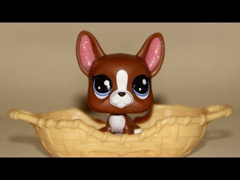 LPS: Happy (Short Film)