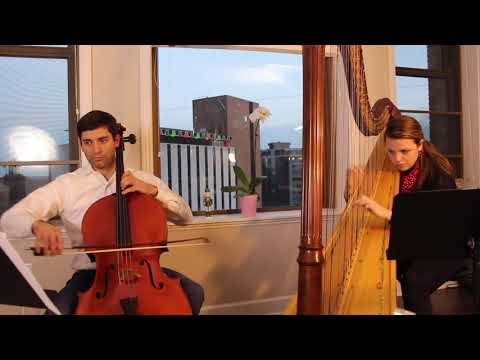 Tchaikovsky's "Pas de Deux" from the Nutcracker for Cello and Harp