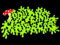 ToadTurdMassacre - We Come To Eat You (Satan ...