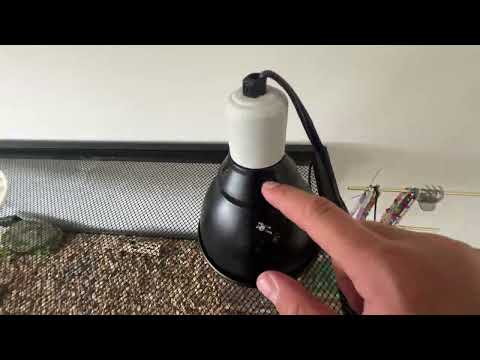 BOEESPAT Reptile Light Fixture 5.5Inch Reptile Deep Dome Fixture  Review