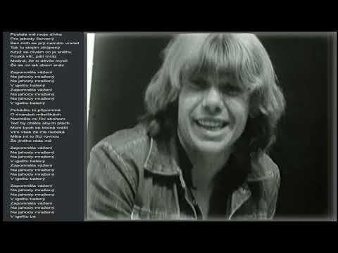 Jahody mražený  - Jiří Schelinger