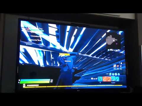 Miaoscolo gioca con skye