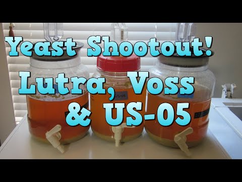 Lutra vs Voss vs US-05! (in a BRU-1 SMaSH)