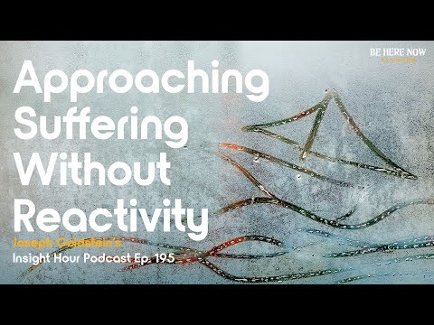 Joseph Goldstein on Approaching Suffering without Reactivity – Insight Hour Podcast Ep. 195