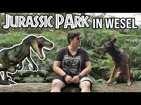 Naturpark Hohe Mark | Hirschkäferroute und Moorerlebnisweg | Diersfordter Wald | Vlog