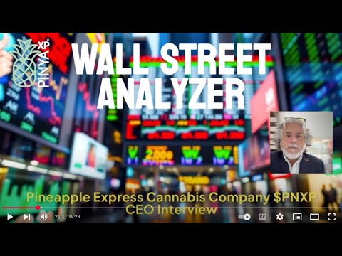 Pinya XP  WallStreet Analyzer CEO Interview