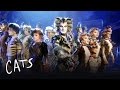 The Invitation to the Jellicle Ball | Cats the Musical