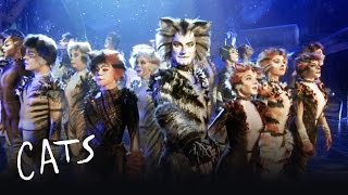 The Invitation to the Jellicle Ball | Cats the Musical