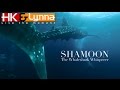 Shamoon - The Whaleshark Whisperer, Maldives Maamigili whale shark, Shamar Divers Maamigili, Malediven