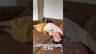 急にテンションが上がる二歳児✨ 【こむこまつり】 #shorts