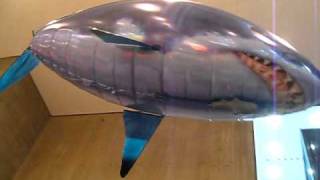 Indoor Flying Air Fish