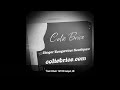 Colie Brice & Fiddle Chick "Paint It Black" 10/17/20 Eastport Maine