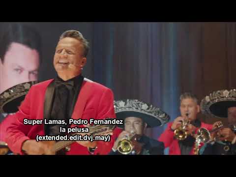 Pedro Fernández y Super Lamas. la pelusa.(extended.edit.dvj.may) ONLY RUFLES 2019 DEMO