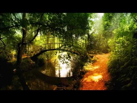 Monk on Acid - A Trip to Pluto #154 (Psydrone / Ambient / Psychill / Psybient Mix)