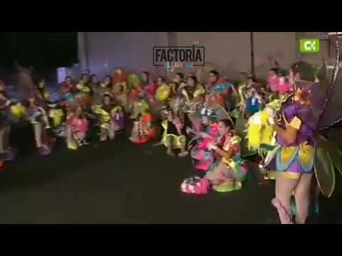 CARNAVAL 2013 - ENTREVISTA MURGA NI MUCHAS NI POCAS - FASE - TELEVISIÓN CANARIA .