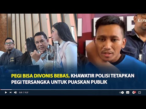 Menkumham Yassona Laoly Minta Polri Segera Tuntaskan Kasus Vina, Wanti-wanti Soal Salah Tangkap - Tribunsumsel.com