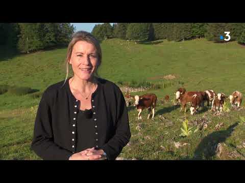 Page été - l'échappée jurassienne - les alpages du Jura et le fort des Rousses 3/4
