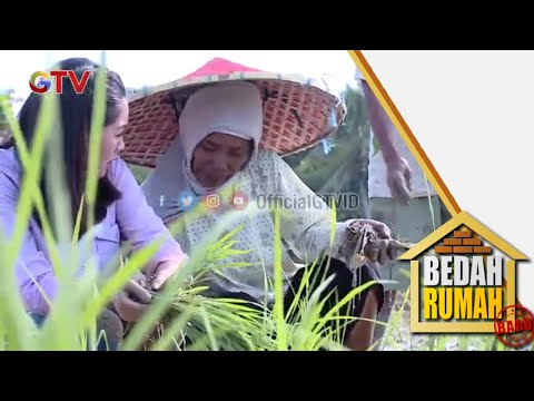 Bapak Darma - Buruh Bajak Sawah | Leonicha | Bedah Rumah #562 | (1/4)