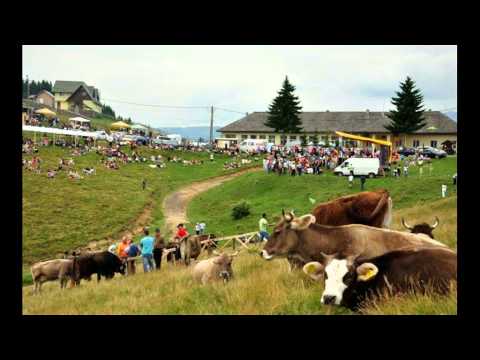 Comuna Fundata, judet Brasov