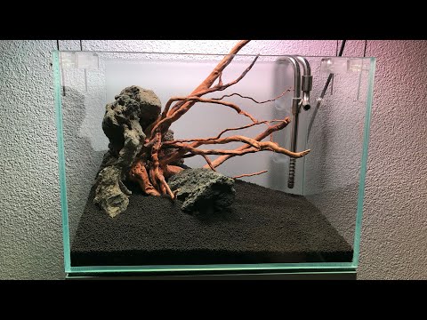 20l Nano Aquascape Einrichten | Mini M | Crowncheck
