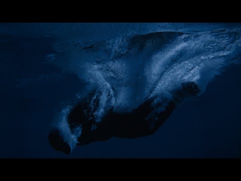 NKSN - Halt Mich Nicht Auf