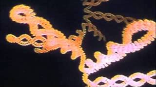 Questions Concerning Technology Part 5: Encoded Communications