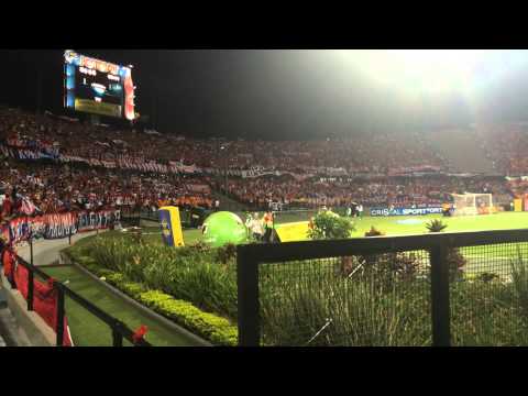 "La murga del indigente DIM. Lo que no pasa es la hinchada que siempre va al frente!" Barra: Rexixtenxia Norte • Club: Independiente Medellín • País: Colombia