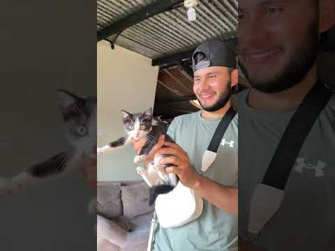 💔Nunca imaginé que una alergia nos haría pensar en dar en adopción a Artemisa😔