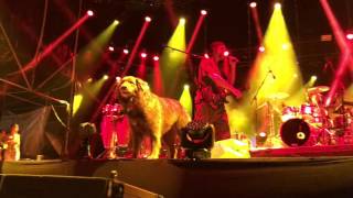 Stick Figure - Shadow