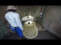 Aquaventure Waterpark Dubai GoPro 4Hero