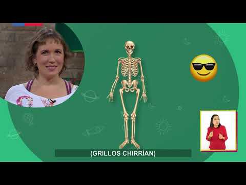 AprendoTV 2021 - 3° y 4° básico - Capítulo 13: La carrera de 5k