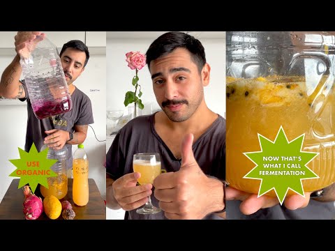 Making Fruit Wine at Home (in an Airbnb)