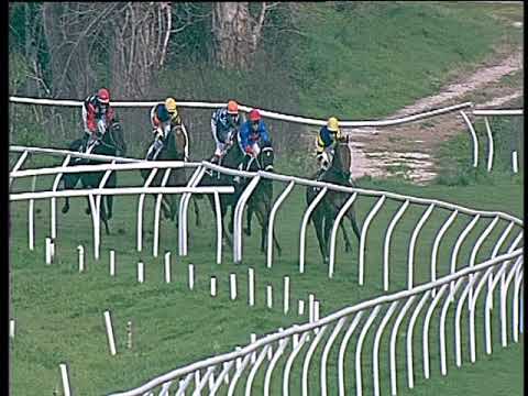 Galoppo 08/03/2018 - 2ª corsa