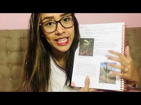 3º ano A Professora Larissa- Ciências - Os tipos de caule