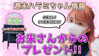 週末ハラミちゃん情報♪お米さんによる素敵なプレゼント！ほか　～元楽器屋店員の音楽ニュース～