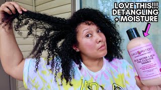 NEW HG✨+ MY *SUPER* DETAILED DETANGLING PROCESS |  Ashkins Curls