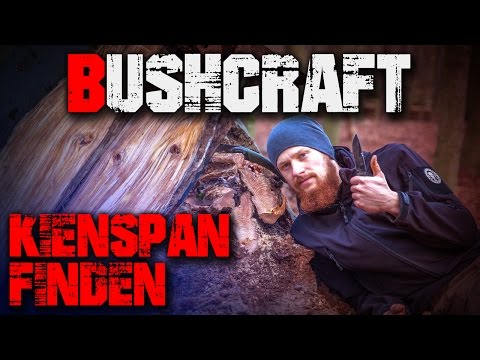 Search, find, recognize, collect, harvest, fire, tinder (German) Bushcraft Survival
