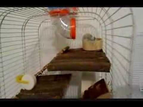 2014.03.02 -  Nya in esplorazione