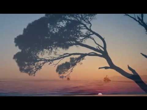 Matko Jelavić - KAPETANE