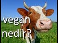 Vegan Nedir? Veganizm Nedir?