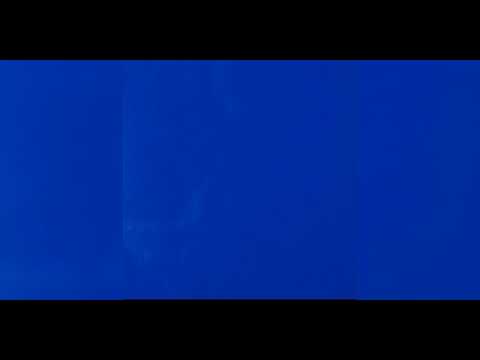 Omar Arnaout George Talent-Salma Lyric💪💪💪